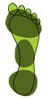 MySole Anatomical