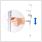 dunimed comfort elbow crutches height adjustability