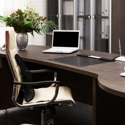 dunimed ergonomic back support for office chair shown in office