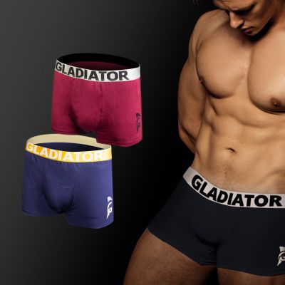 gladiator sports bamboo boxers 2 pack blue purple for sale