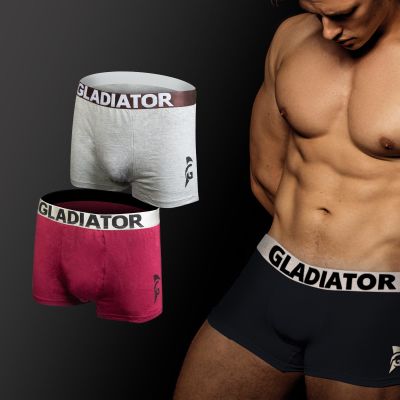 gladiator sports bamboo boxers 2 pack gray purple for sale