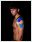 gladiator sports kinesiology strips worn on arm