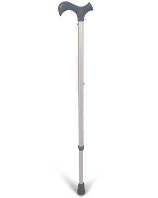 Wandelstok