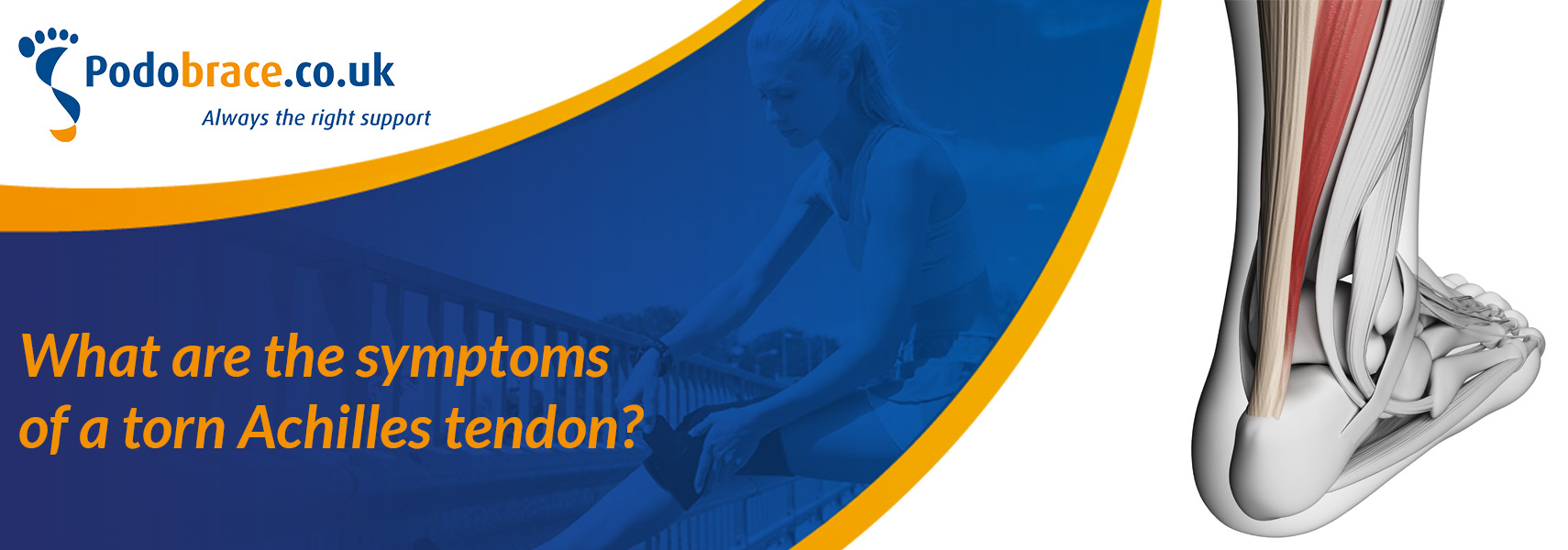 what are the symptoms of a torn achilles tendon